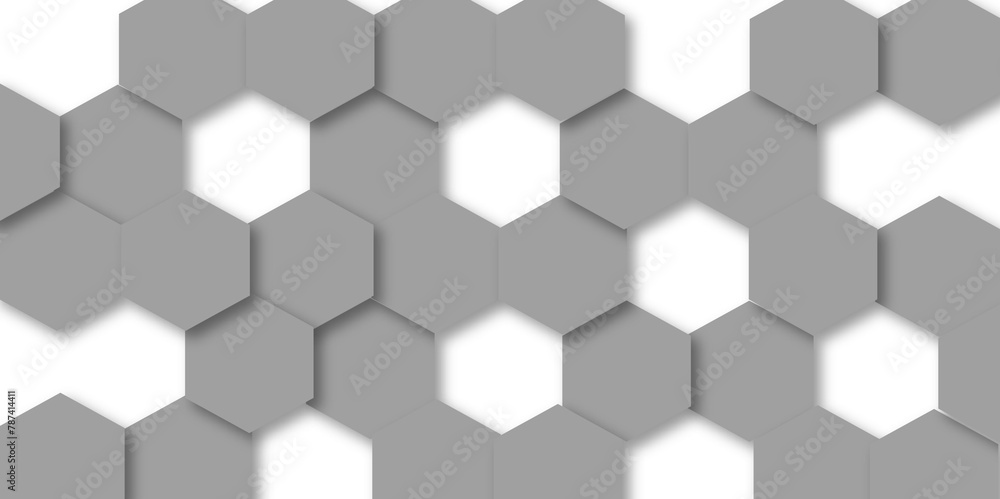 Abstract gray hexagon and hexagonal lines on white background. abstract 3d hexagonal background with shadow. Vector illustration. Hexagonal honeycomb pattern background with space for text. Abstract gray hexagon and hexagonal lines on white background. abstract 3d hexagonal background with shadow. Vector illustration. Hexagonal honeycomb pattern background with space for text.