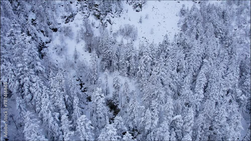 Aerial view of a river in the middle of the forest, tall trees covered with snow, foggy winter morning, foggy mountains in the background Aerial view of a river in the middle of the forest, tall trees covered with snow, foggy winter morning, foggy mountains in the background