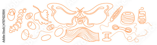 Silkworm, line cocoon, butterfly, spool of thread