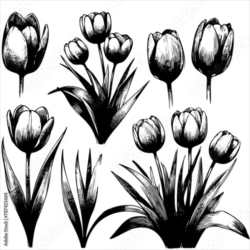 A set of black and white flowers with stems. The flowers are all different sizes and are arranged in a row © Екатерина Переславце