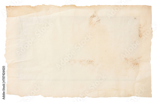 PNG Clean Paper herbarium page textured background paper backgrounds document. 