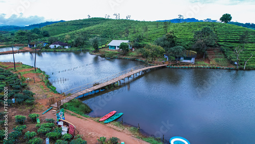 Munnar is the most beautiful tea plantation in Kerala 