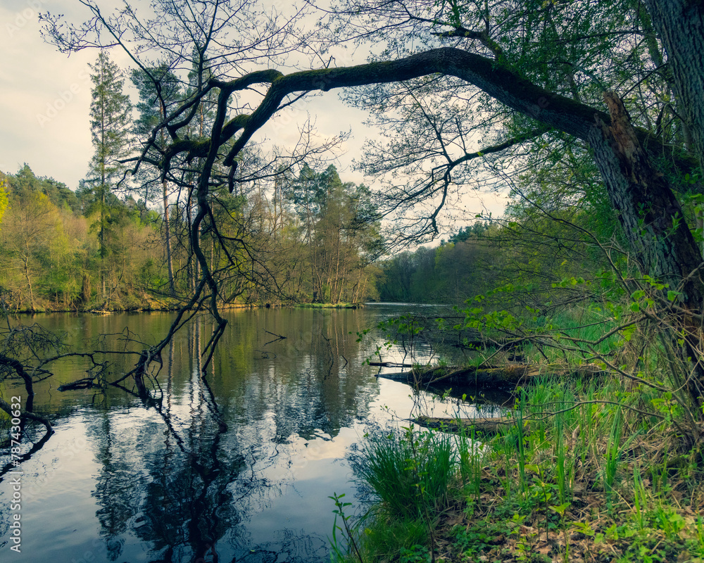 Radunia, Pomorskie