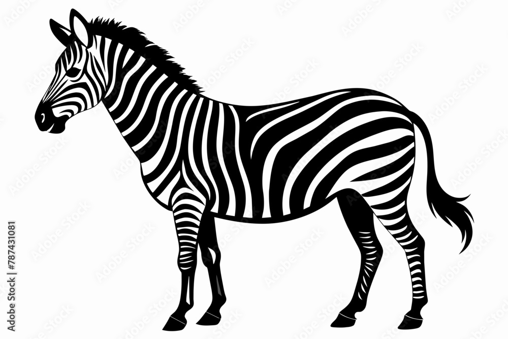 Zebra Silhouette vector illustration white background Zebra Silhouette vector illustration white background