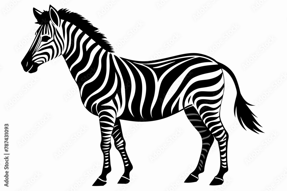 Obraz premium Zebra Silhouette vector illustration white background