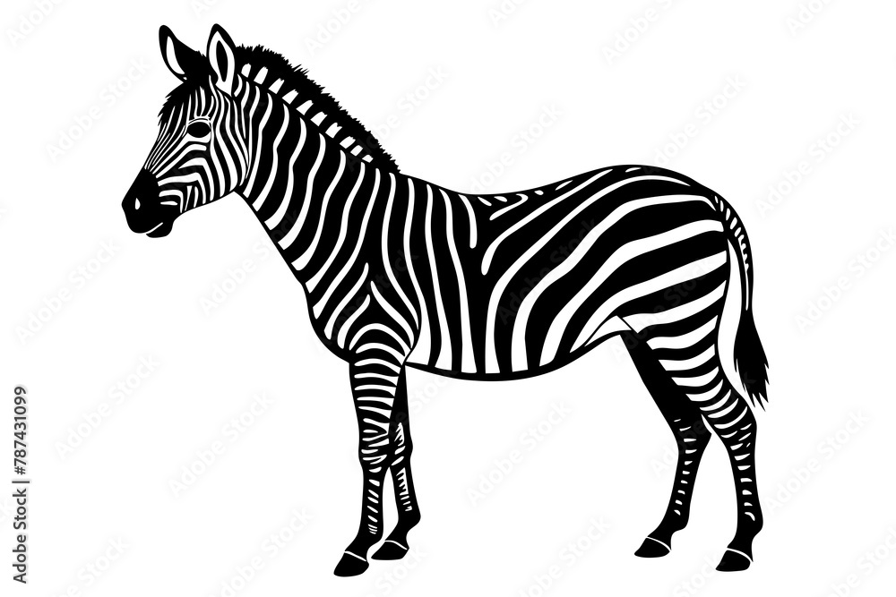 Obraz premium Zebra Silhouette vector illustration white background