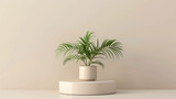 A beautiful potted plant sits on a simple podium against a neutral background. The plant has long, slender leaves and a vibrant green color.