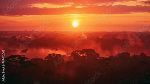 The sun rises  casting a warm glow over a vast tropical rainforest shrouded in morning mist and mystery