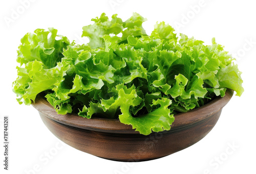 PNG Green salad bowl vegetable lettuce.