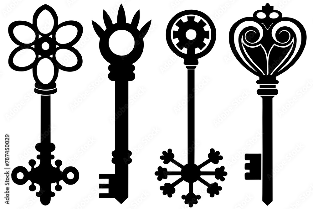 Obraz premium Key set vector silhouette