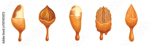 Nut Edible Seed with Dripping Chocolate or Caramel Melting Liquid Vector Set