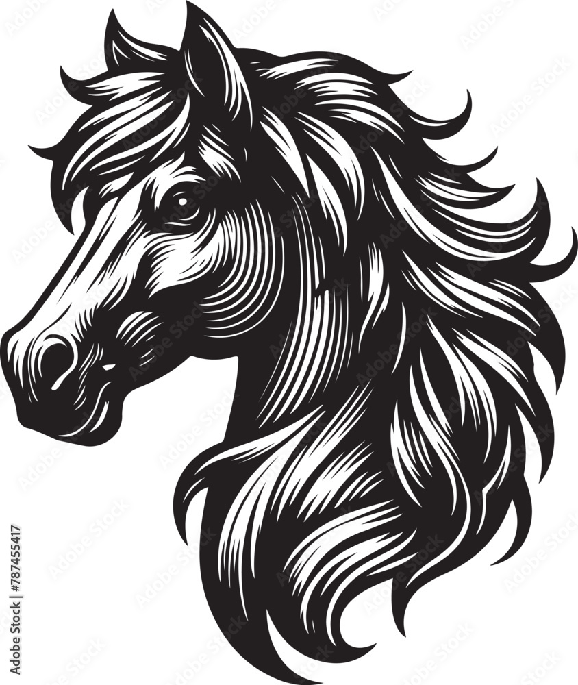 horse illustration horse illustration
