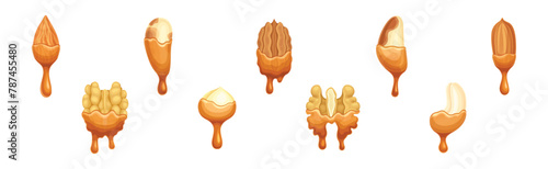 Nut Edible Seed with Dripping Chocolate or Caramel Melting Liquid Vector Set