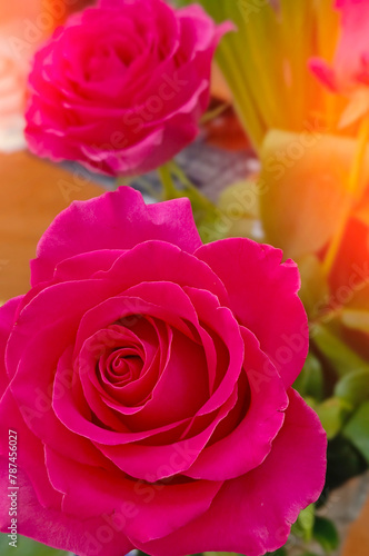 Pink roses natural floral background close up vertical photo. Fresh flowers in bouquet buds top view. Bright colors. Florist shop.