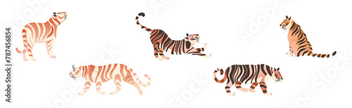 Tiger Predator Jungle Animal with Striped Coat Vector Set