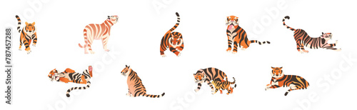 Tiger Predator Jungle Animal with Striped Coat Vector Set