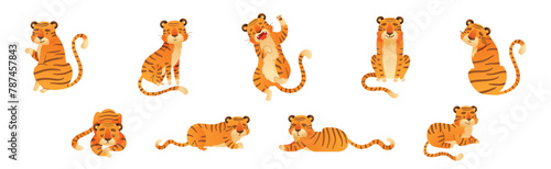 Funny Tiger Predator Jungle Animal with Striped Coat Vector Set