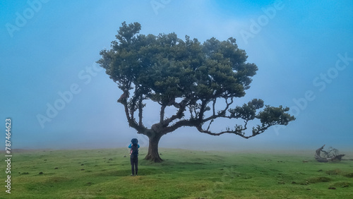 Hiker man with baby carrier at old evergreen laurel trees (Ocotea foetens) in mystical fog in ancient subtropical Laurissilva forest of Fanal, Madeira island, Portugal, Europe. Magical fairytale scene photo