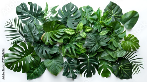 Lush Green Tropical Leaves on a White Background. Perfect for Nature Themes. Ideal for Design and Decor. Fresh Foliage Layout. AI