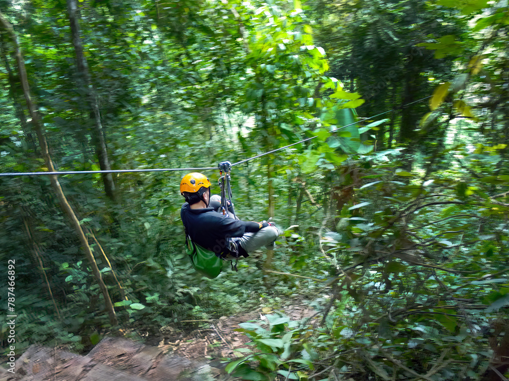 A man playing Flight of the flying gibbons, a rainforest adventure, ziplining crossing over hanging bridge in the tropical jungle Thailand, exciting extreme tour A man playing Flight of the flying gibbons, a rainforest adventure, ziplining crossing over hanging bridge in the tropical jungle Thailand, exciting extreme tour