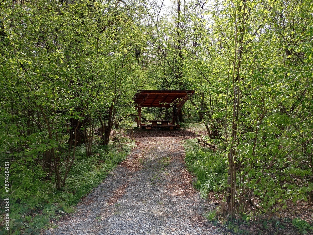 At the end of the forest path there is a wooden gazebo with a table for spending time in nature and relaxing in a large company. The rest area in the forest is equipped with a barbecue and under cover