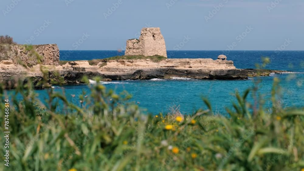 Roca - Salento - Torre con vegetazione al vento in primo piano Roca - Salento - Torre con vegetazione al vento in primo piano
