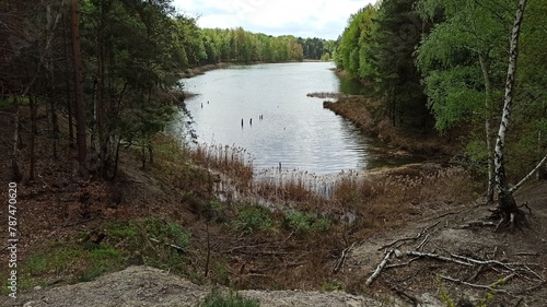 Jezioro w parku. 