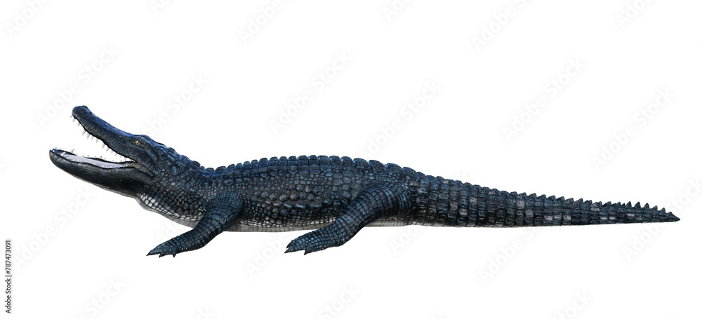 A blue and gray alligator on isolated transparent background, seen from the side with his mouth open. 3D illustration. A blue and gray alligator on isolated transparent background, seen from the side with his mouth open. 3D illustration.