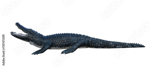A blue and gray alligator on isolated transparent background, seen from the side with his mouth open. 3D illustration. 