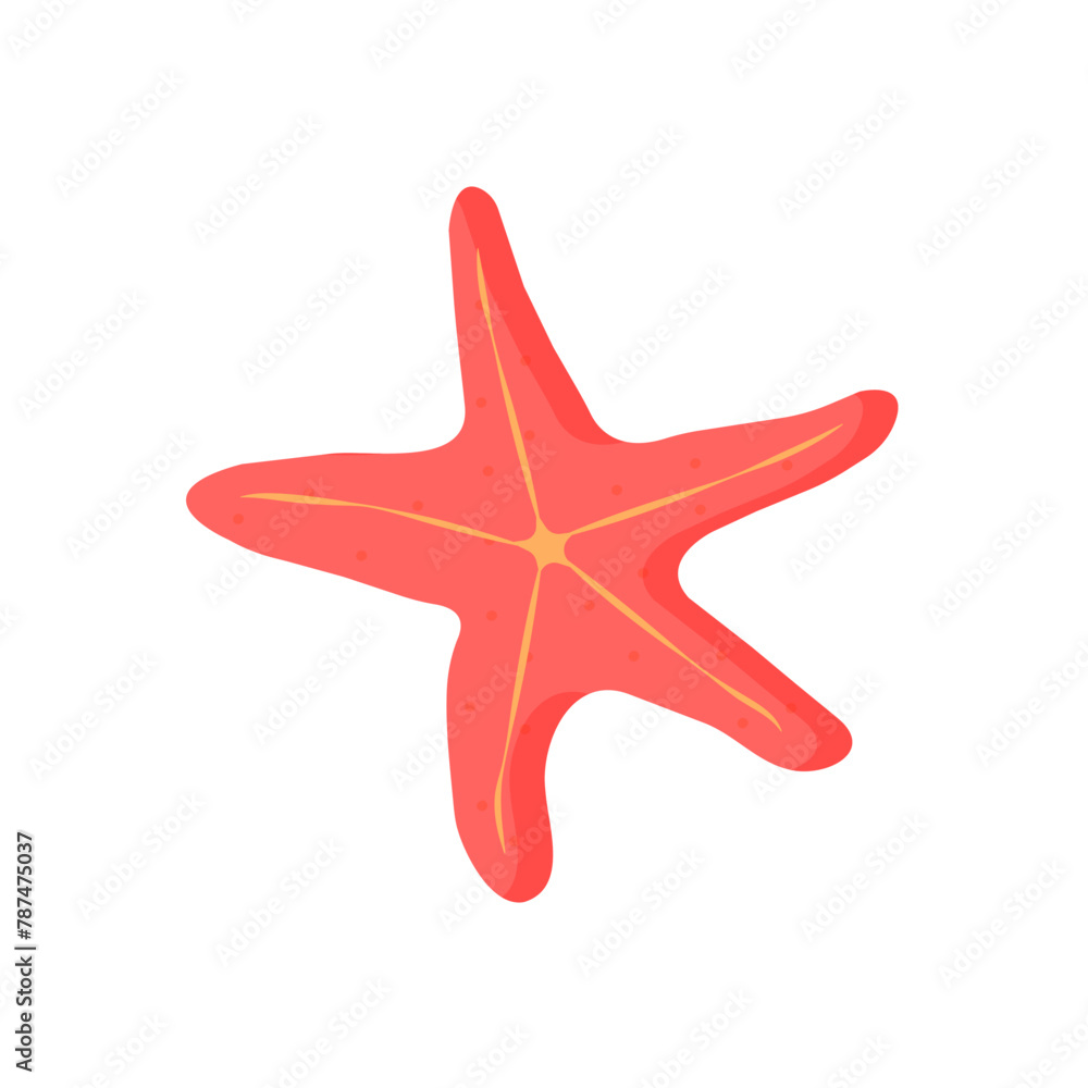 Obraz premium vector illustration of a starfish.