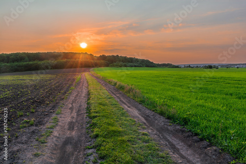 An amazing sunset over a dirt road leading to the forest