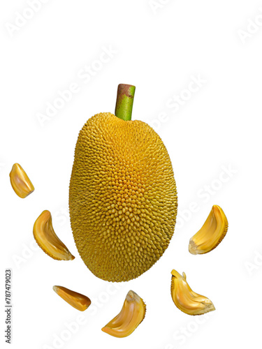 A single pic jackfruit on  transparent background top view
