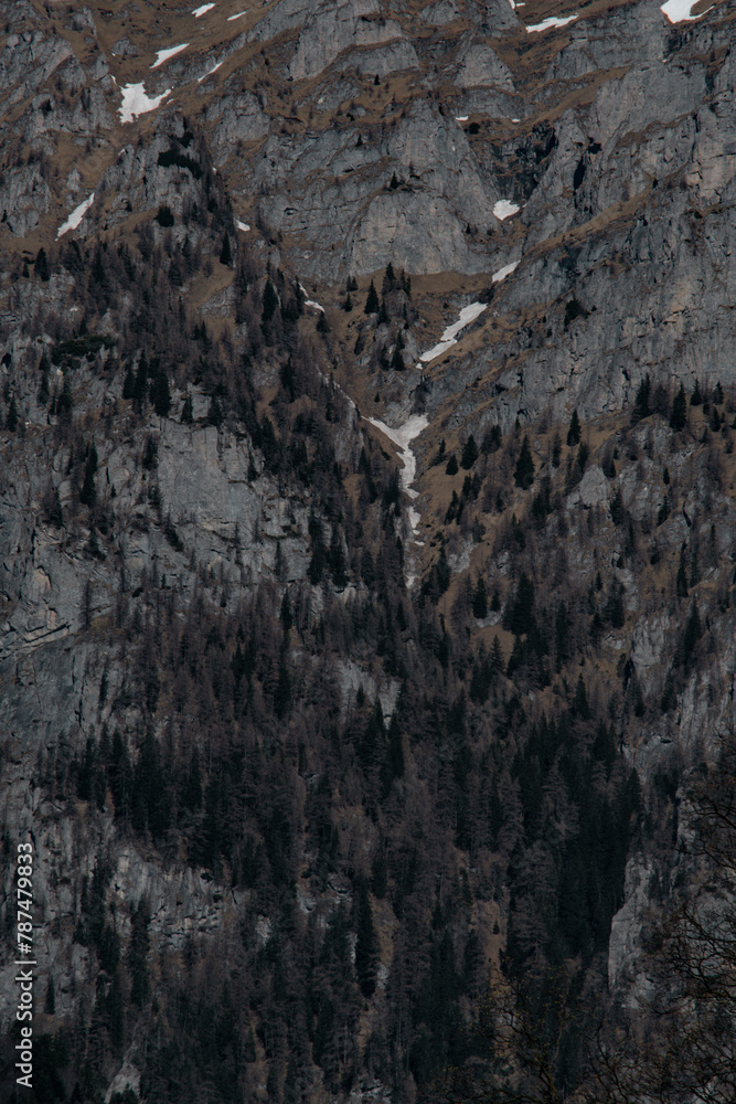 Spring in Bucegi Mountains, Romania