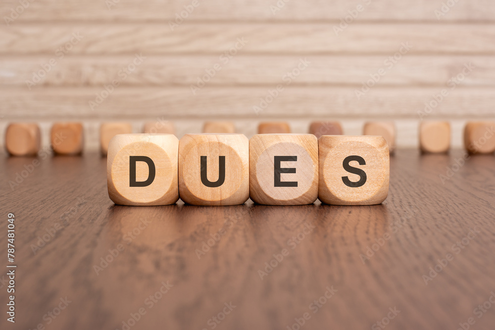 the text DUES is written on wooden cubes on a brown background the text DUES is written on wooden cubes on a brown background