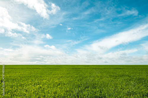 Photo de paysage d'un champs de culture vert et d'un ciel bleu avec quelques nuages blancs - agriclture française photo