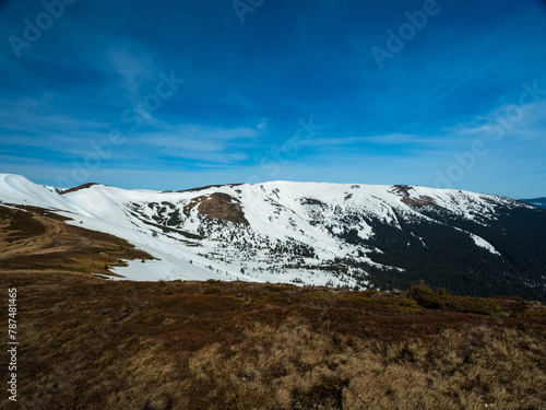 mountains in spring. Carpathians Ukraine
