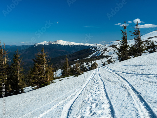 mountains in spring. Carpathians Ukraine
