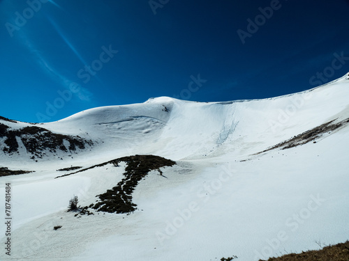 mountains in spring. Carpathians Ukraine
