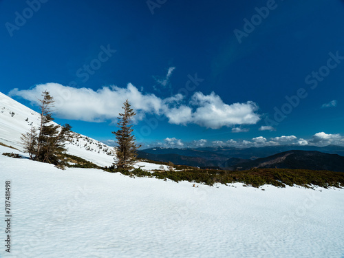 mountains in spring. Carpathians Ukraine
