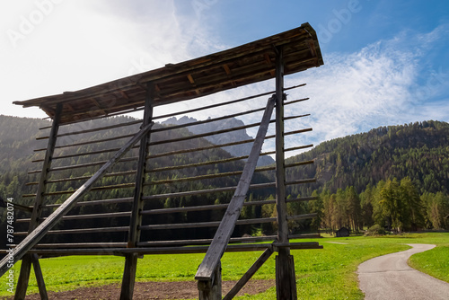 Hay drying rack in Sexten in South Tyrol, Italy, Europe. Hiking trail on idyllic alpine meadow with view of Dolomites. Serene landscape in remote untouched nature. Old traditional grass drying method photo