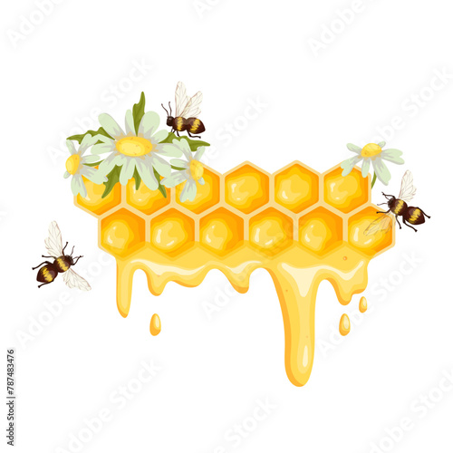 Honeycomb with honey bees and chamomile flowers .Cartoon vector graphic.