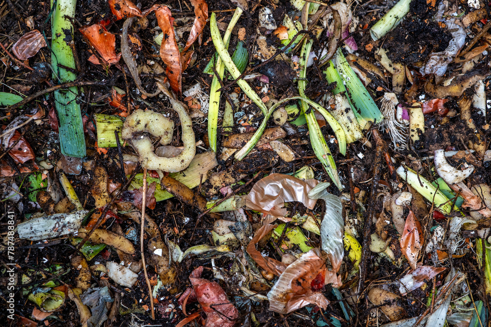 Compostage compost vu du dessus, avec de nombreuses épluchures de légumes, de coquilles d'oeuf