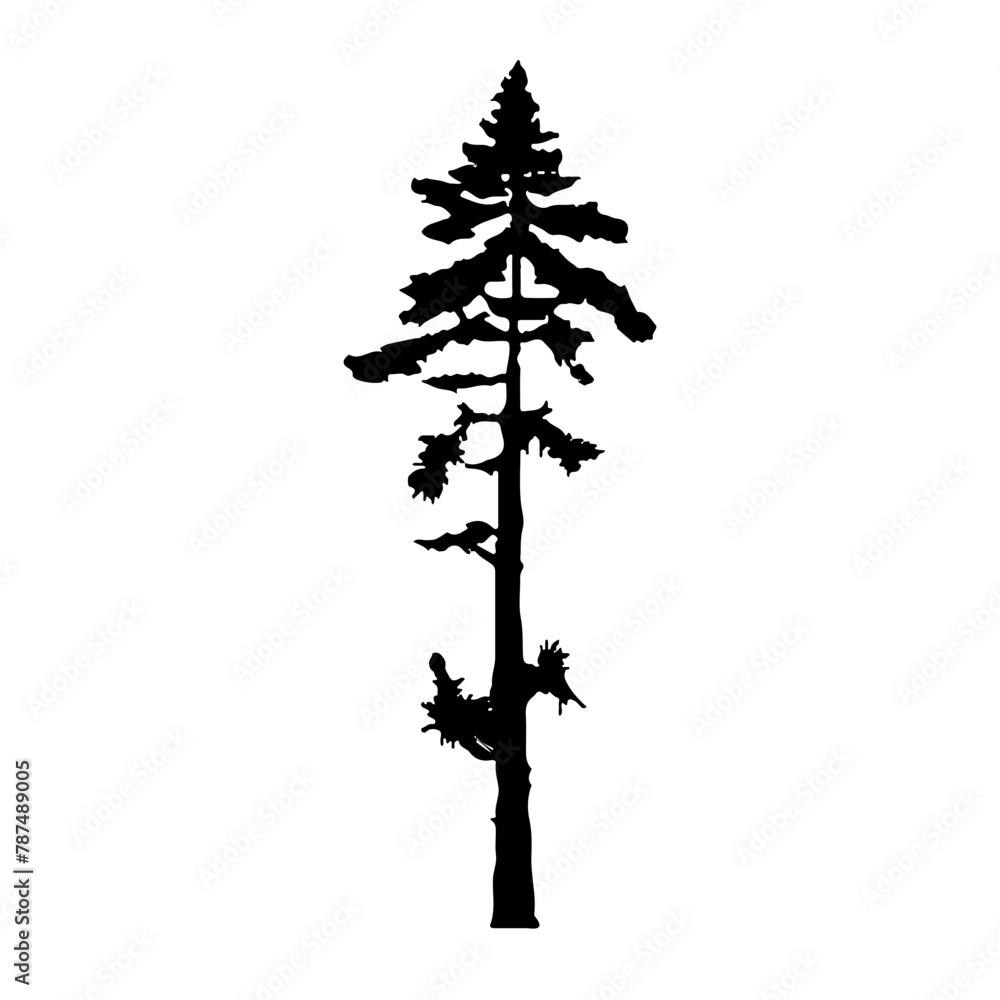 Pine Tree Silhouette Vector Clipart. Pine Tree Silhouette Vector Clipart.