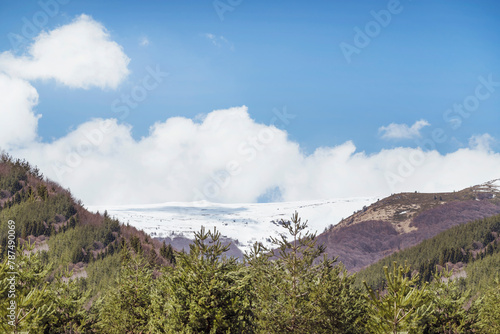 Beautiful Spring Landscape with Pine Trees and Clouds . Vitosha Mountain ,Bulgaria  © boryanam