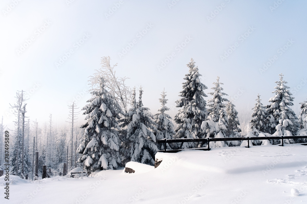 Obraz premium Ausblick auf eine verschneite Wald Landschaft im Harz