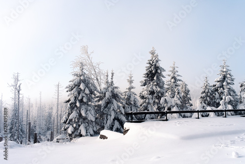 Ausblick auf eine verschneite Wald Landschaft im Harz