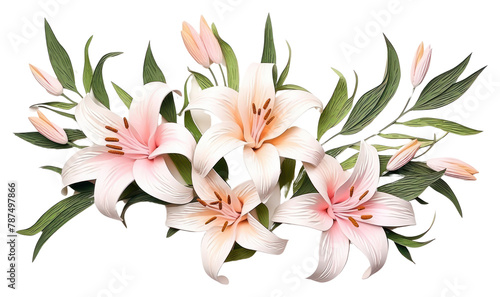 PNG Lily flower plant white. #787497866