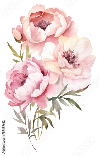 PNG Flower plant rose transparent background. 