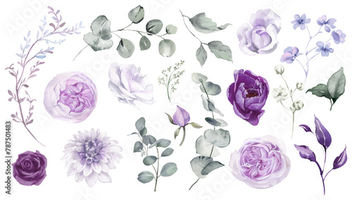 Watercolor floral set clipart. Violet flowers and eucalyptus greenery illustration isolated on transparent background. Purple roses, lilac peony for wedding stationary, greeting card photo