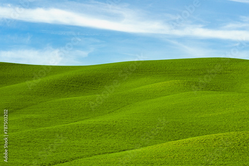 TUSCANY GREEN LANDSCAPE SIMILAR TO WINDOWS WALLPAPER OF CALIFORNIA COUNTRYSIDE AND BLUE SKY WITH WHITE CLOUDS DURING SUMMER